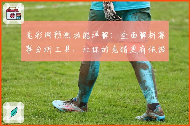 竞彩网预测功能详解：全面解析赛事分析工具，让你的竞猜更有依据