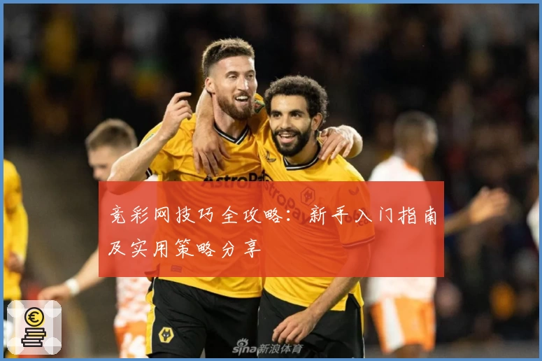 竞彩网技巧全攻略：新手入门指南及实用策略分享